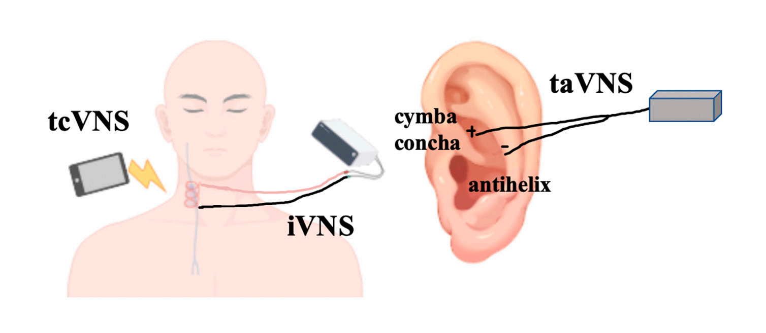 圖片2.png 圖片2.png