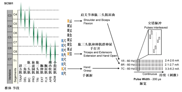 圖片6.png 圖片6.png