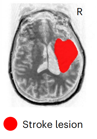 圖片4.png 圖片4.png