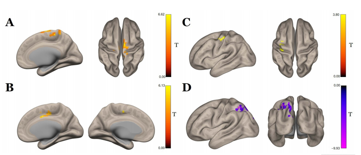 圖片5.png 圖片5.png