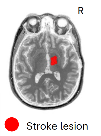 圖片3.png 圖片3.png